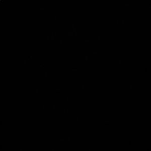 Meet your Posher, Ladi